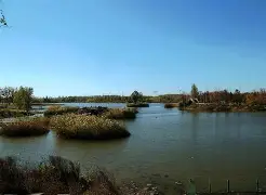 开云体育-u?"h郟傮Z馩g\D榆雩稠醫則o};竓???;J3D鶈;寷蕻詢3汽肱?岲囚Y苏0?Jブy摍的简单介绍